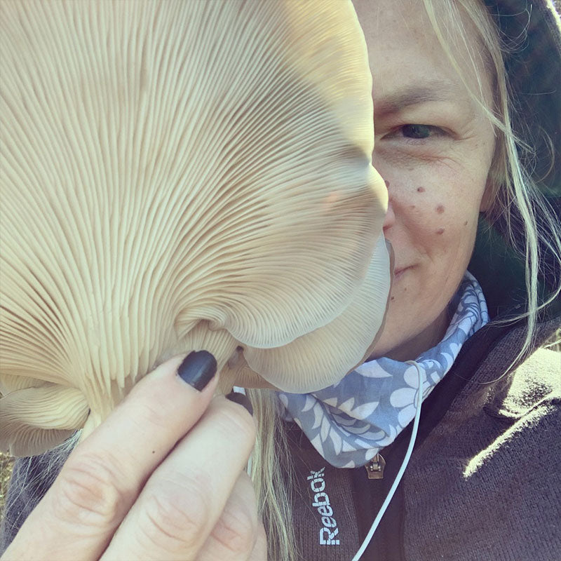 Warm Blue Oyster MycoGarden Fruiting Kit  - (Pleurotus ostreatus)